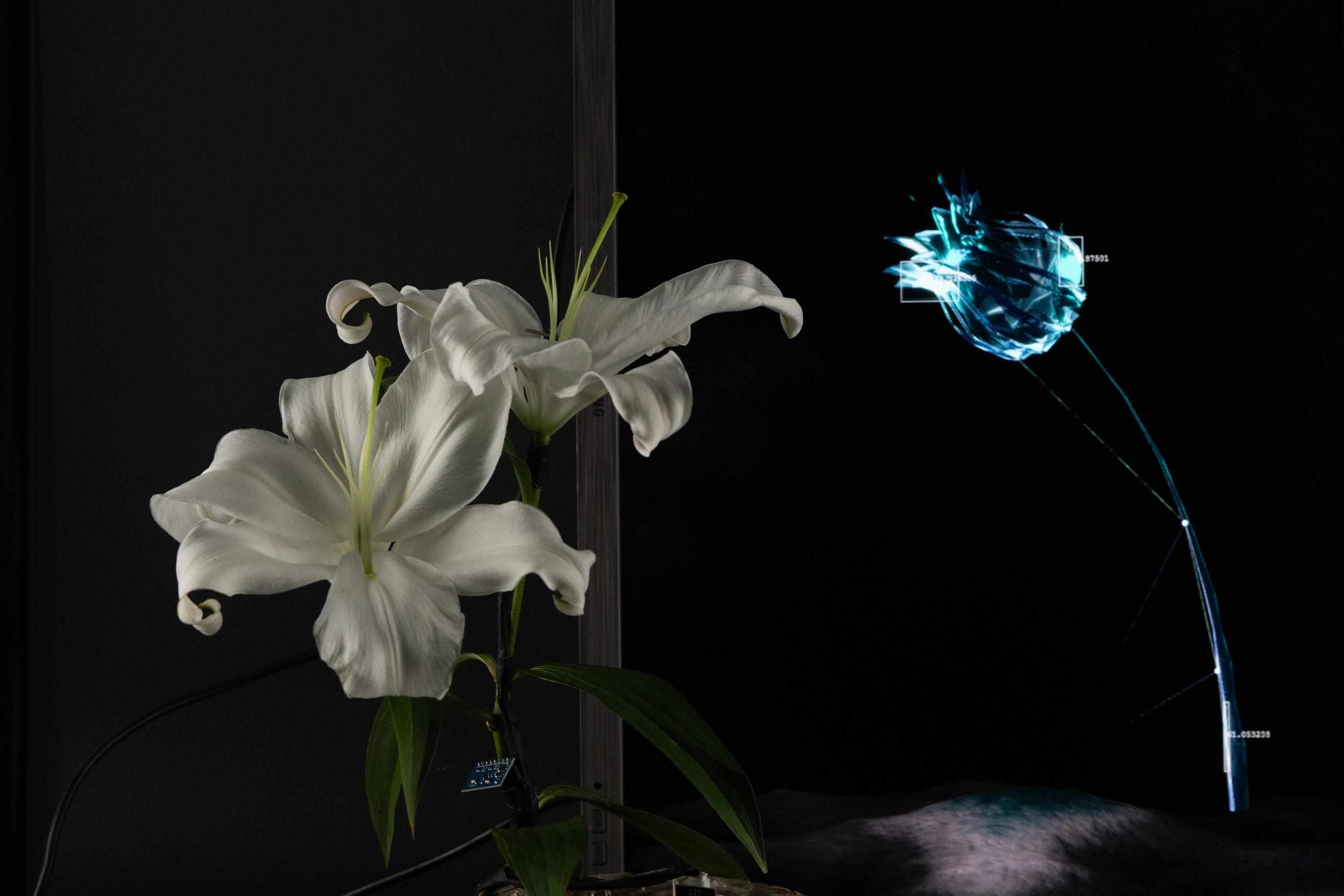 Procedural Floral System